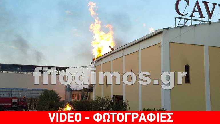 Αίγιο: Σε εξέλιξη η πυρκαγιά σε εργοστάσιο οινοποιίας – Δεν κινδυνεύουν εργαζόμενοι Αίγιο: Σε εξέλιξη η πυρκαγιά σε εργοστάσιο οινοποιίας – Δεν κινδυνεύουν εργαζόμενοι